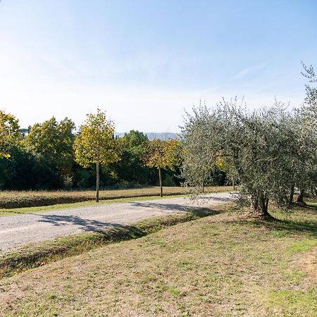 Penzion San Carlo A La Molinella Città della Pieve Exteriér fotografie