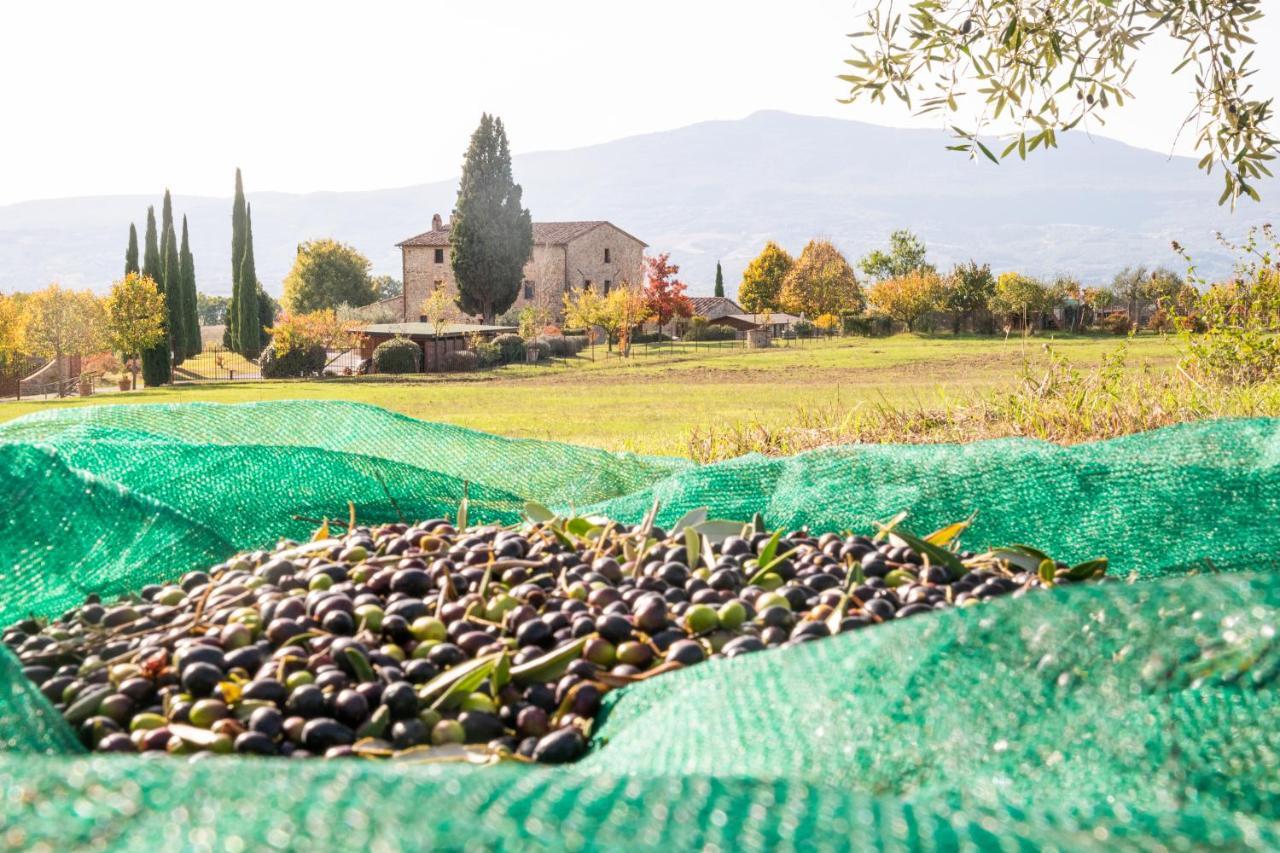 Penzion San Carlo A La Molinella Città della Pieve Exteriér fotografie